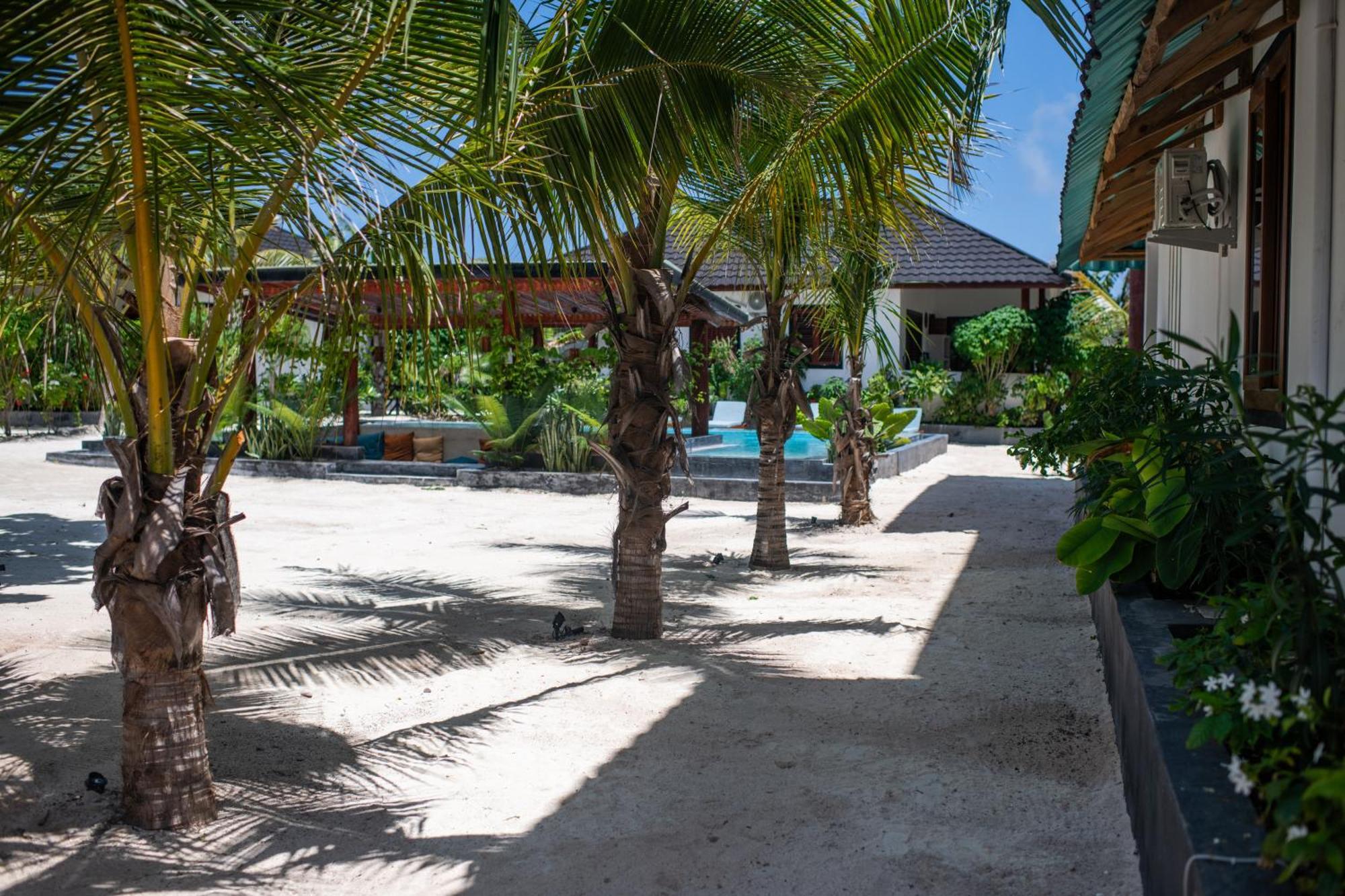 Baobab Bungalows Jambiani  Exterior photo
